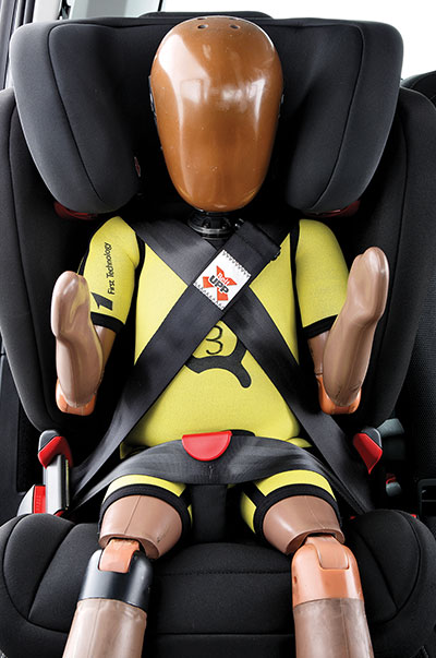 Cintura a x